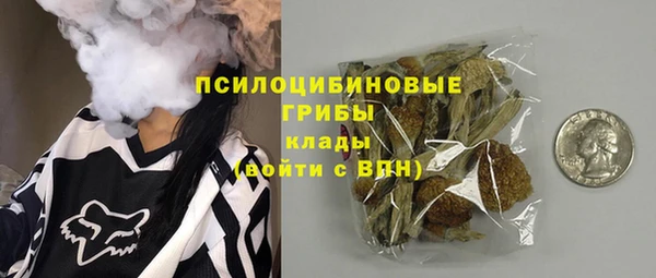 индика Абаза