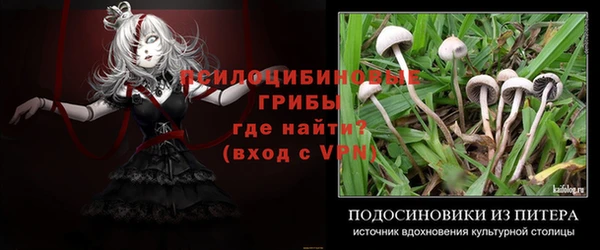 дживик Алексин